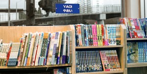 Yaoi_Books_by_miyagawa