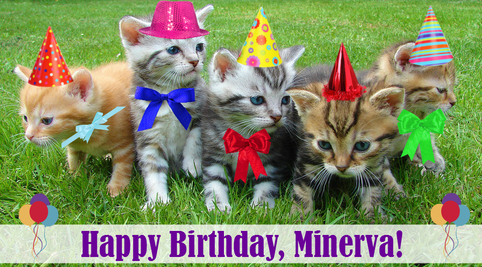 Minerva Birthday